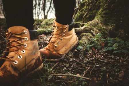 Diptford Boundary Walk